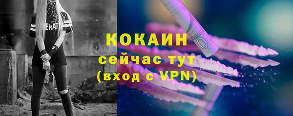 спиды Вяземский