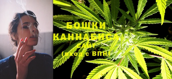 спиды Вяземский