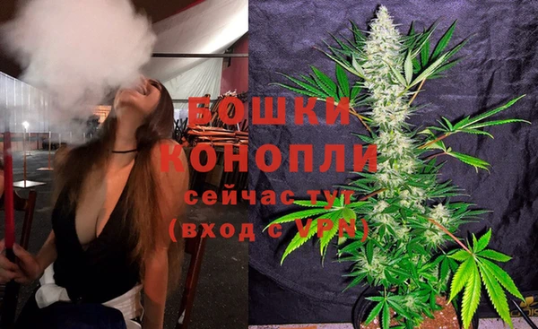 спиды Вяземский
