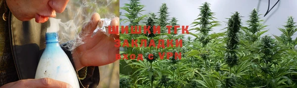 спиды Вяземский