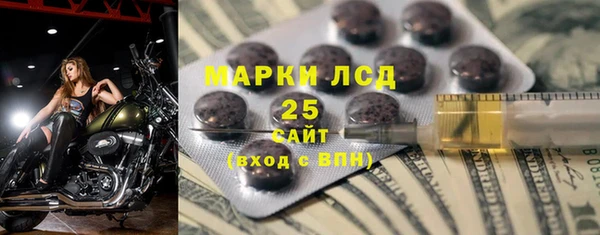 прущие грибы Туринск